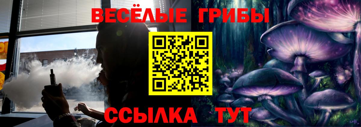 Псилоцибиновые грибы GOLDEN TEACHER Сальск