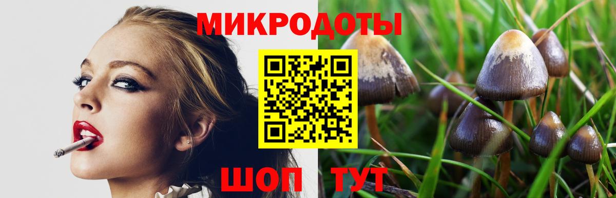 Галлюциногенные грибы Cubensis  Псилоцибиновые грибы ЛСД  Вход с VPN  Сальск 